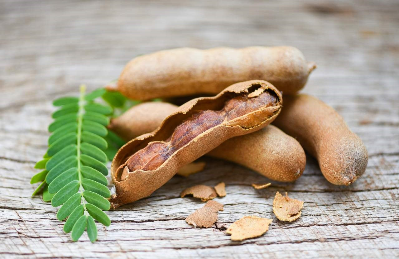 Saiba tudo sobre o Tamarindo: origens, formas de uso e muito mais!