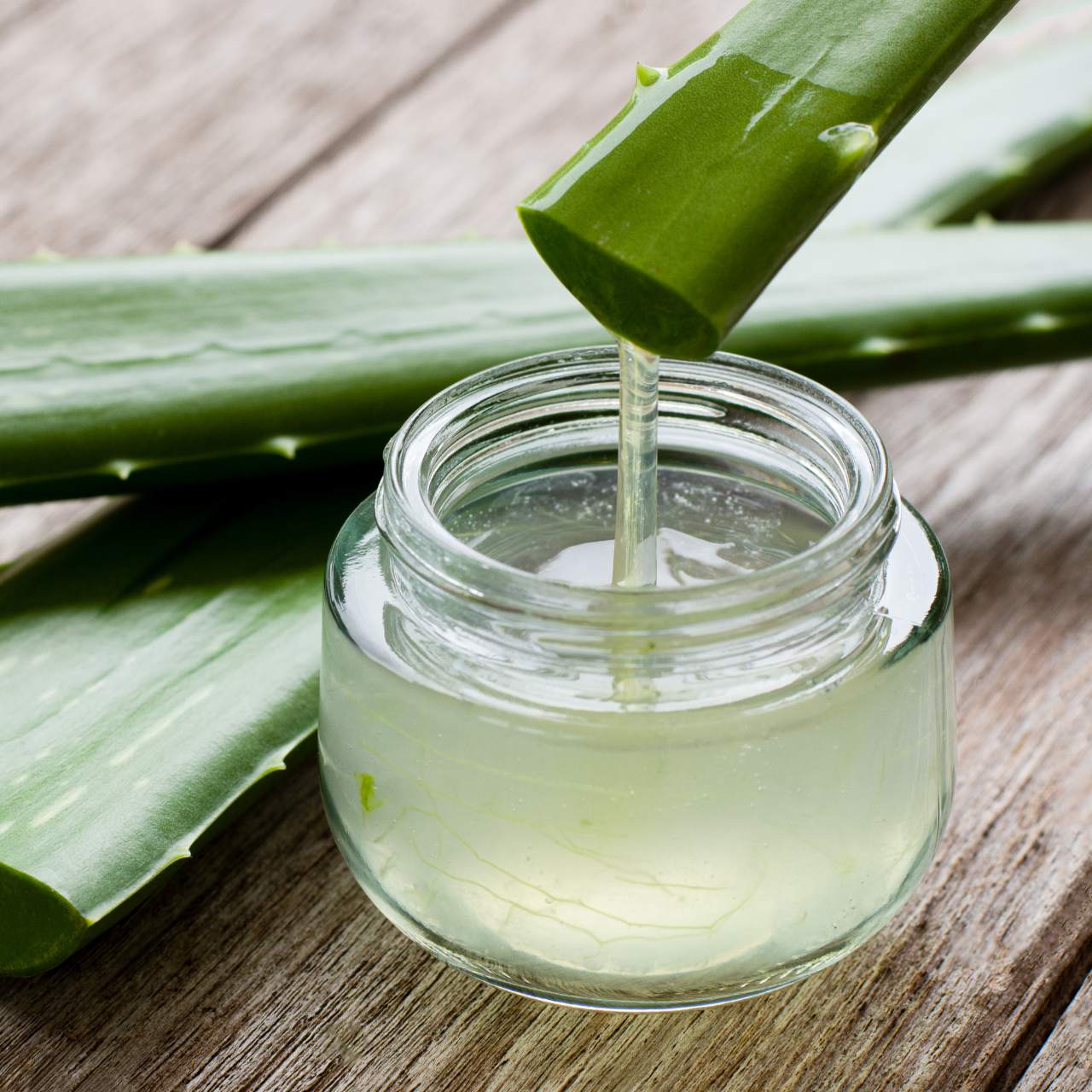 Gel de polpa de aloe vera - Guangxi 1kg